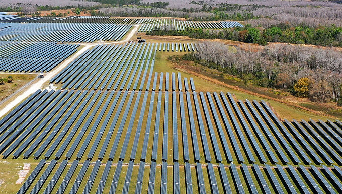 Liz Truss se opone a colocar paneles solares en tierras de cultivo, dice Downing Street